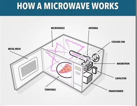 Why the Micro